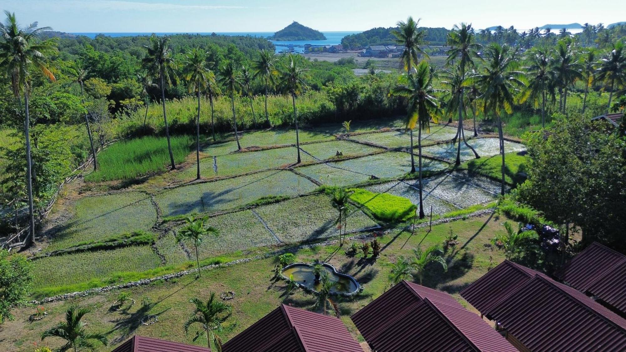 Riung Nuna Bungalows المظهر الخارجي الصورة