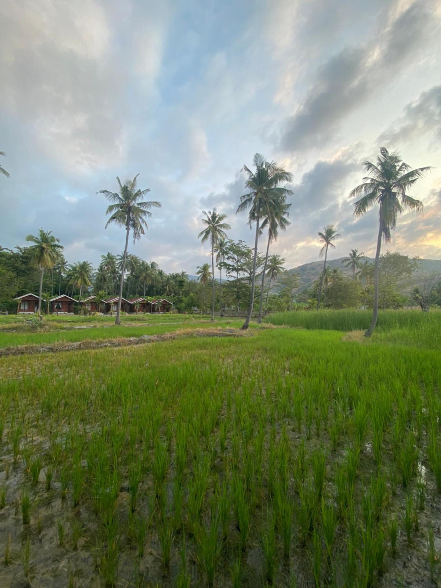 Riung Nuna Bungalows المظهر الخارجي الصورة