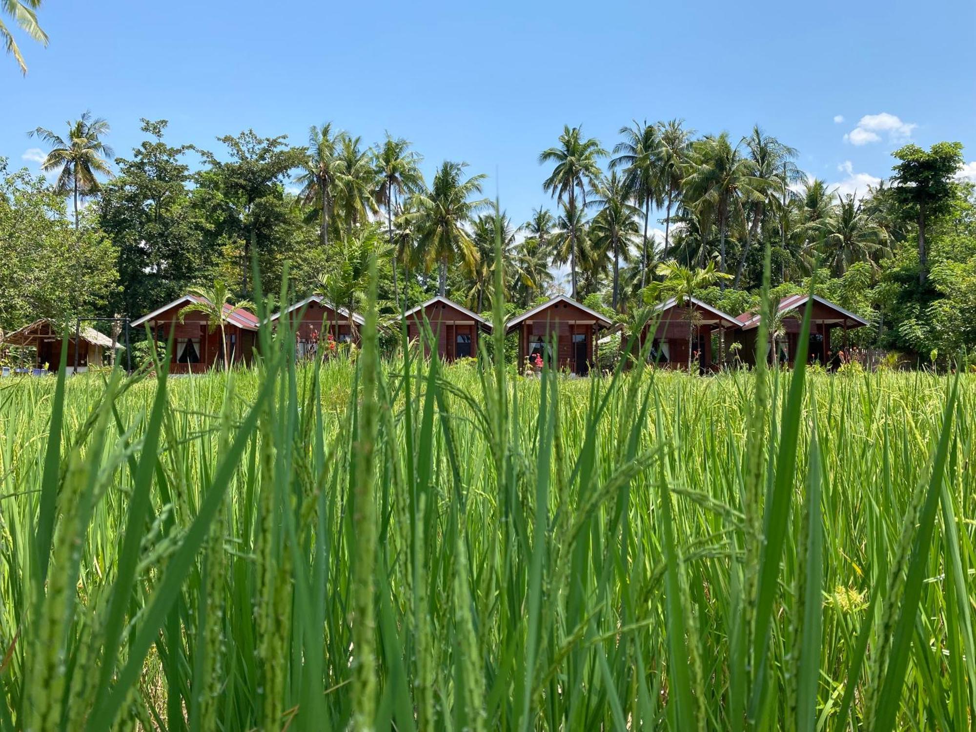 Riung Nuna Bungalows المظهر الخارجي الصورة